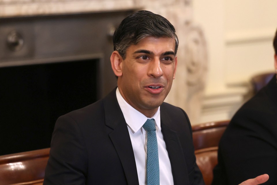 Rishi Sunak hit out at "aggressive mobs" targeting MPs