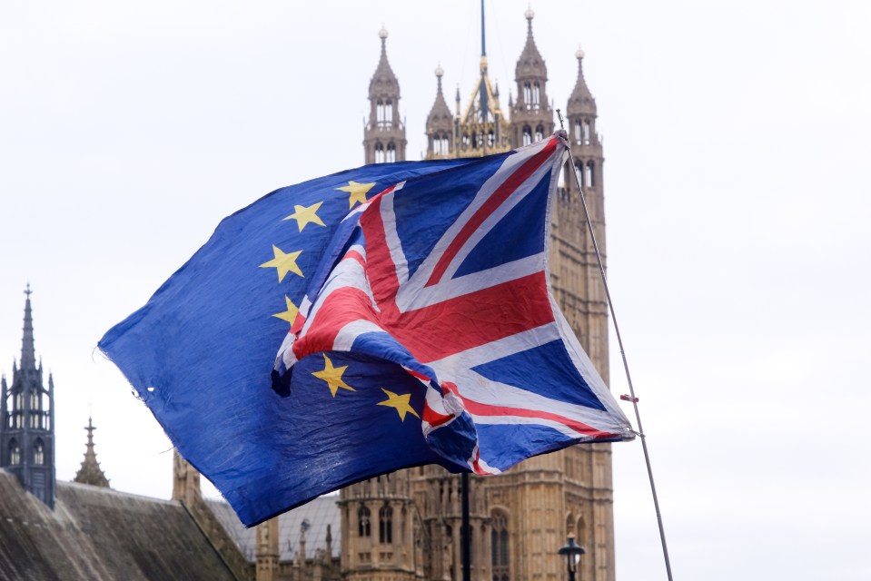 LONDON, UNITED KINGDOM - JAN 31, 2024 - Brexit: 4th anniversary since UK left the European Union, amid anti-Brexit protest opposite Parliament. (Photo credit should read Matthew Chattle/Future Publishing via Getty Images)