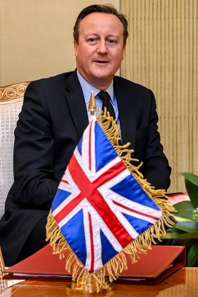 This handout picture released by the Omani News Agency shows Britain's Foreign Secretary David Cameron looks on during his meeting with Oman's Foreign Minister in Muscat on January 31, 2024. (Photo by Oman News Agency / AFP) / RESTRICTED TO EDITORIAL USE - MANDATORY CREDIT "AFP PHOTO / HO / OMANI NEWS AGENCY " - NO MARKETING NO ADVERTISING CAMPAIGNS - DISTRIBUTED AS A SERVICE TO CLIENTS (Photo by -/Oman News Agency/AFP via Getty Images)