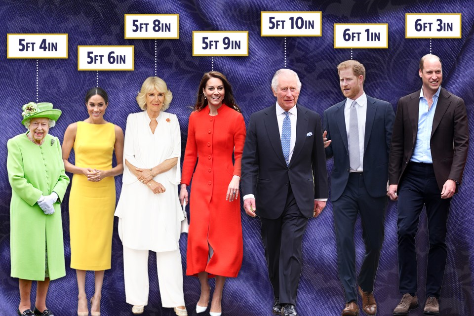 William is the tallest out of the Royals