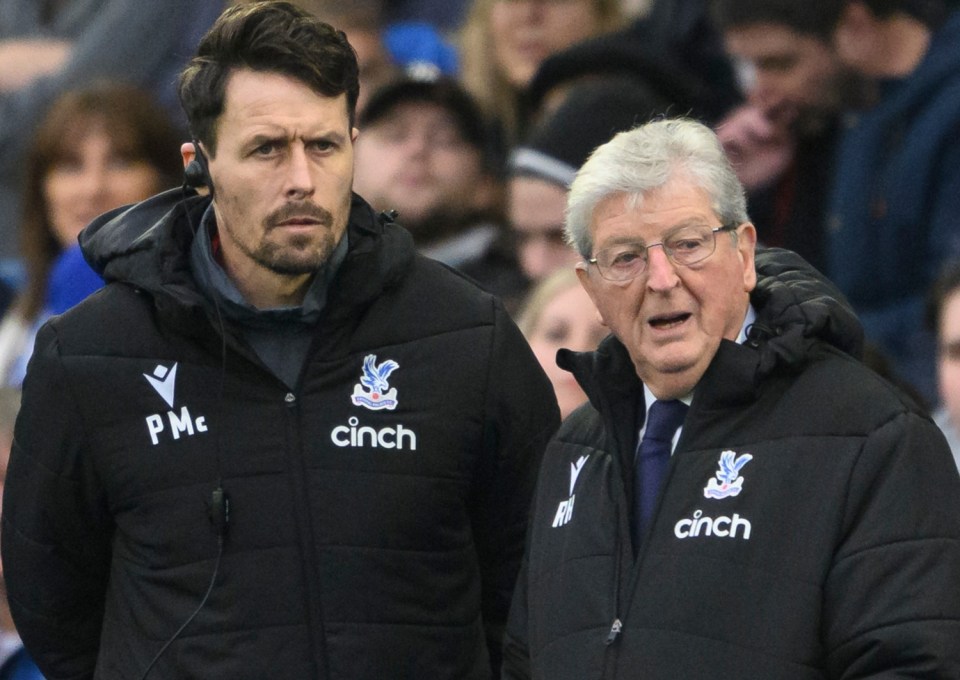 Paddy McCarthy will manage Crystal Palace against Everton as Roy Hodgson recovers from his health scare