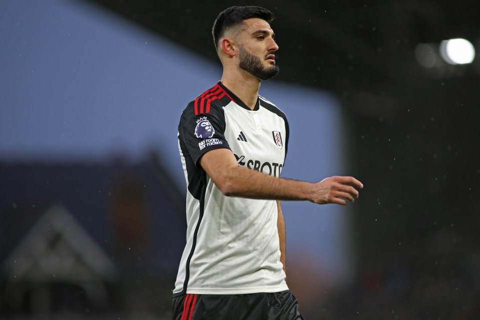 Armando Broja joined Fulham on loan in January