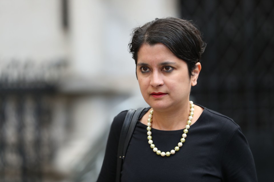 An amendment from Baroness Chakrabarti would see ministers forced to seek approval for the flights from the United Nations