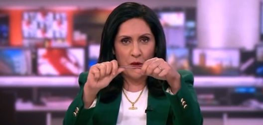 BBC News star Maryam Moshiri displayed a bizarre stunt live on air