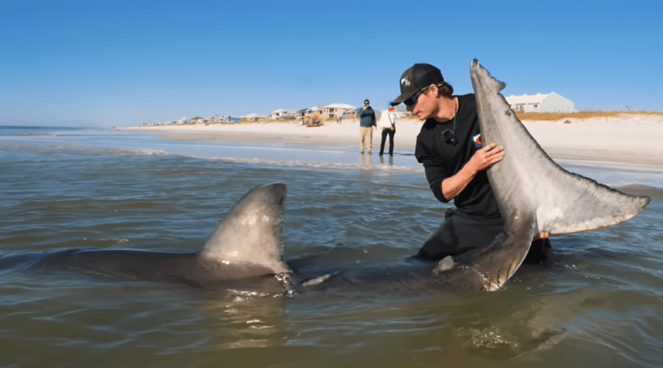 Moment the fisherman draws out the beast