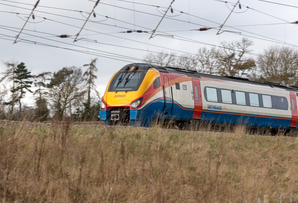 An East Midlands train derailed last night after smashing into a large tree