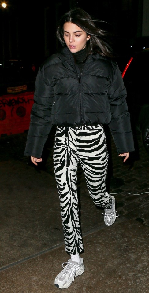 Kendall Jenner donned these zebra-print trousers to hang out with a friend