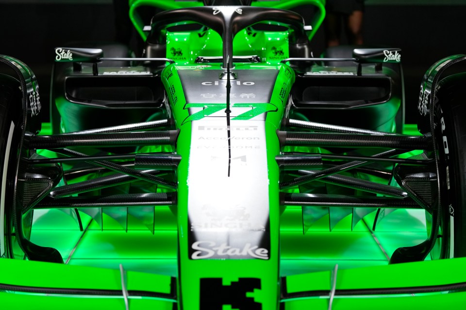 A close-up view gives F1 lovers much to mull over