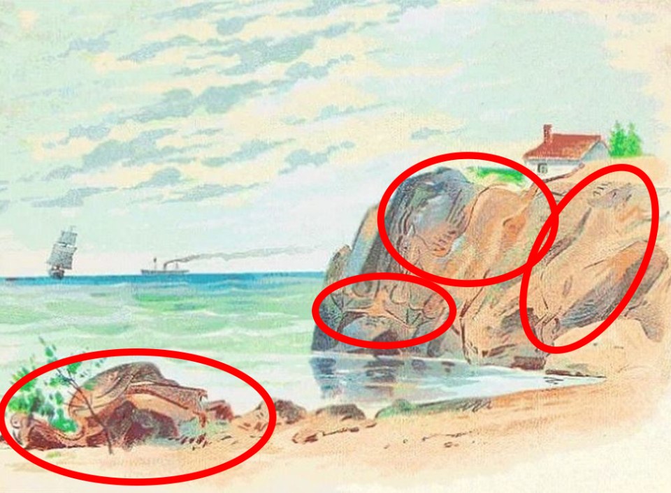 The four animals are shown hiding among the shoreline scene