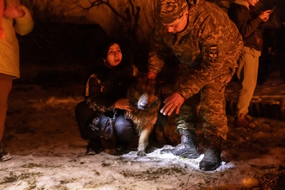 Firefighters rescue a dog as they attempt to extinguish the fire