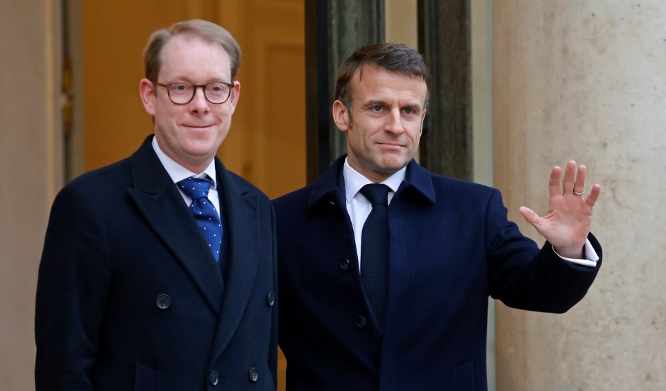 French President Emmanuel Macron pictured with Swedish Minister for Foreign Affairs Tobias Billstrom today