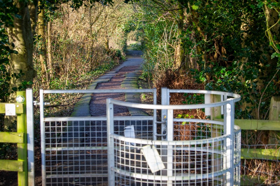 The footpath leading up to the bench where Nicola went into the water