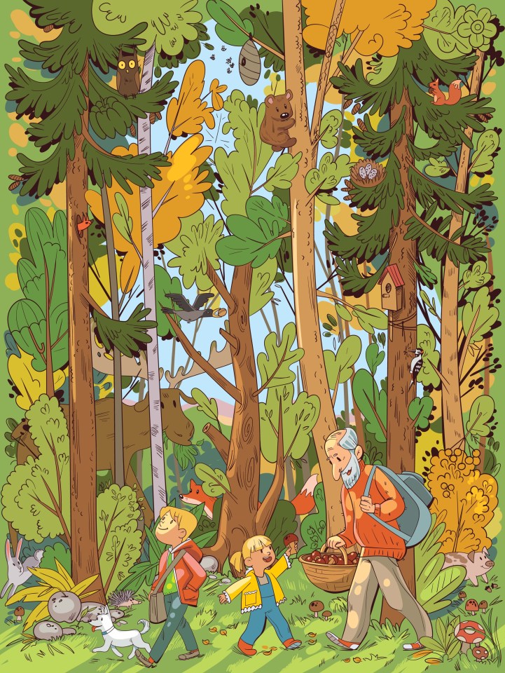 Can you find the bear and the apple in this image?