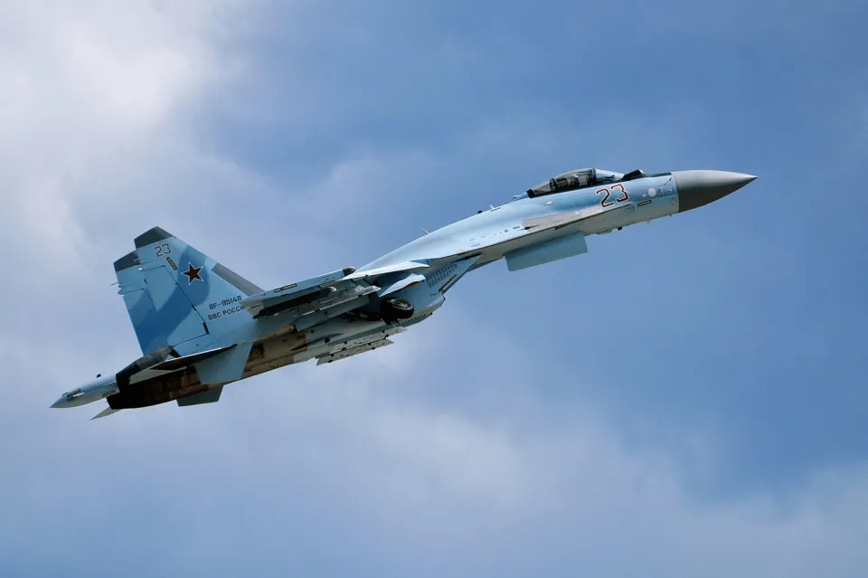 Two Russian Su-35s were also downed recently