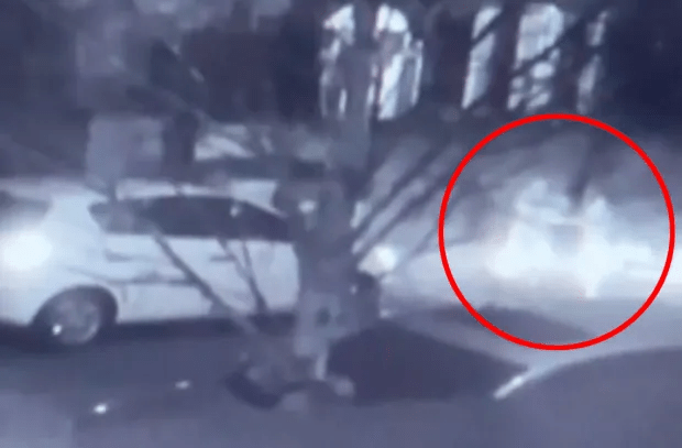 This snap shows the moment of the horrific attack (circled)