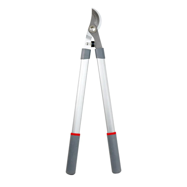 These loppers are a steal at £29.99