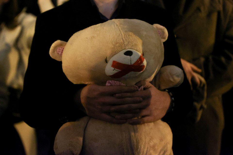 Demonstrators held teddy bears with their mouths taped shut