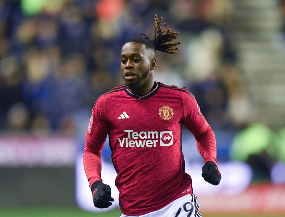 Aaron Wan-Bissaka was a £50m arrival from Crystal Palace in 2019