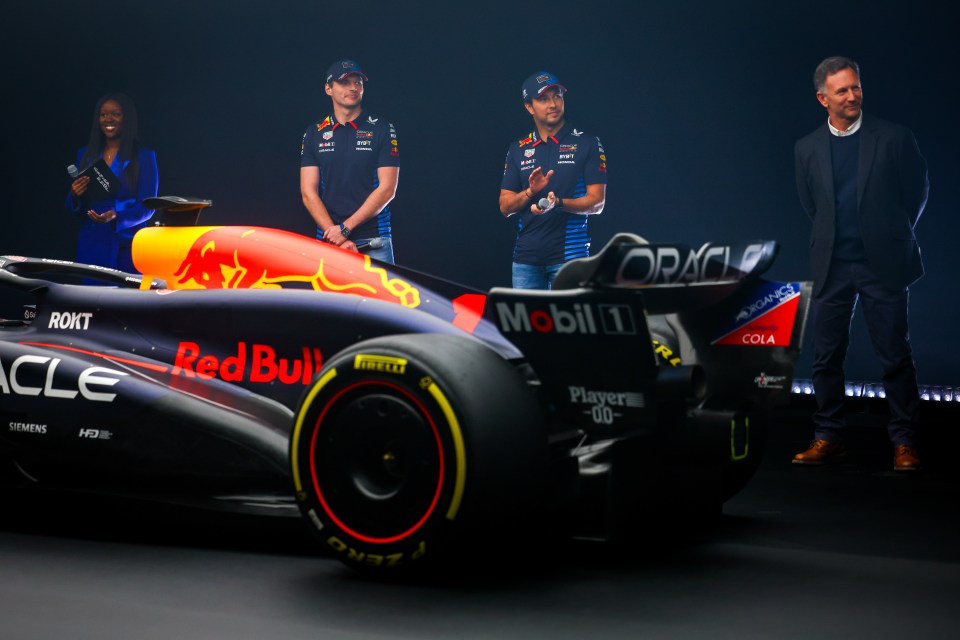 World champion Verstappen, his teammate Perez and Horner