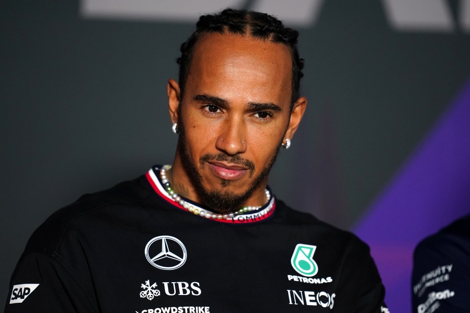 Lewis Hamilton has had his say on accusations about Christian Horner