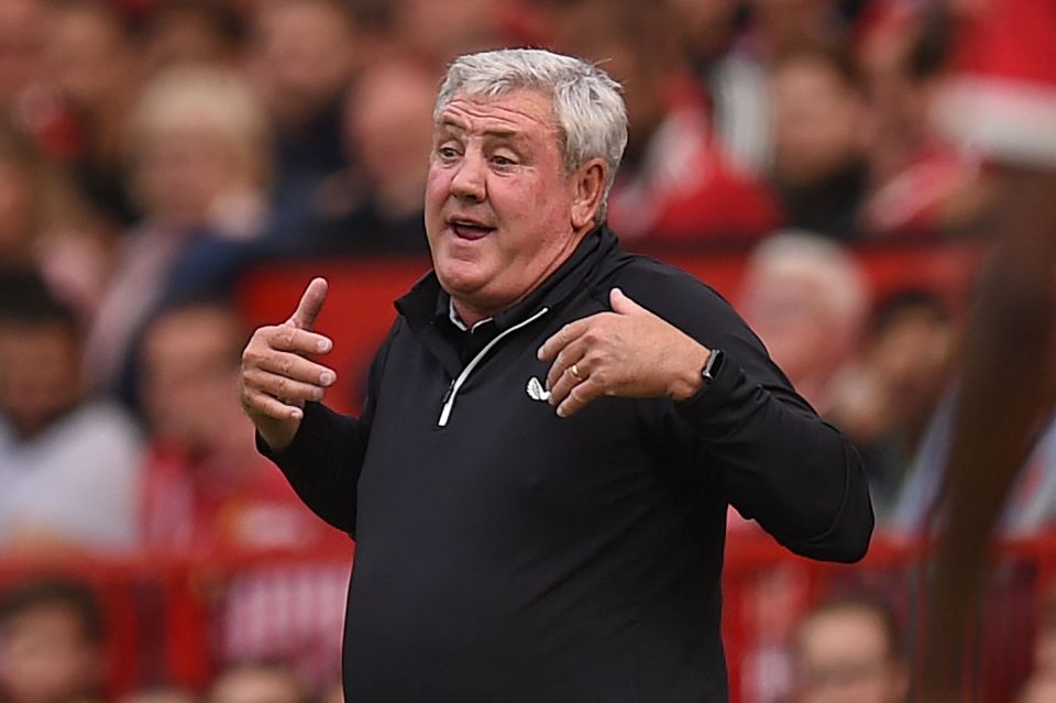 Steve Bruce could become the next boss of the South Korea national side