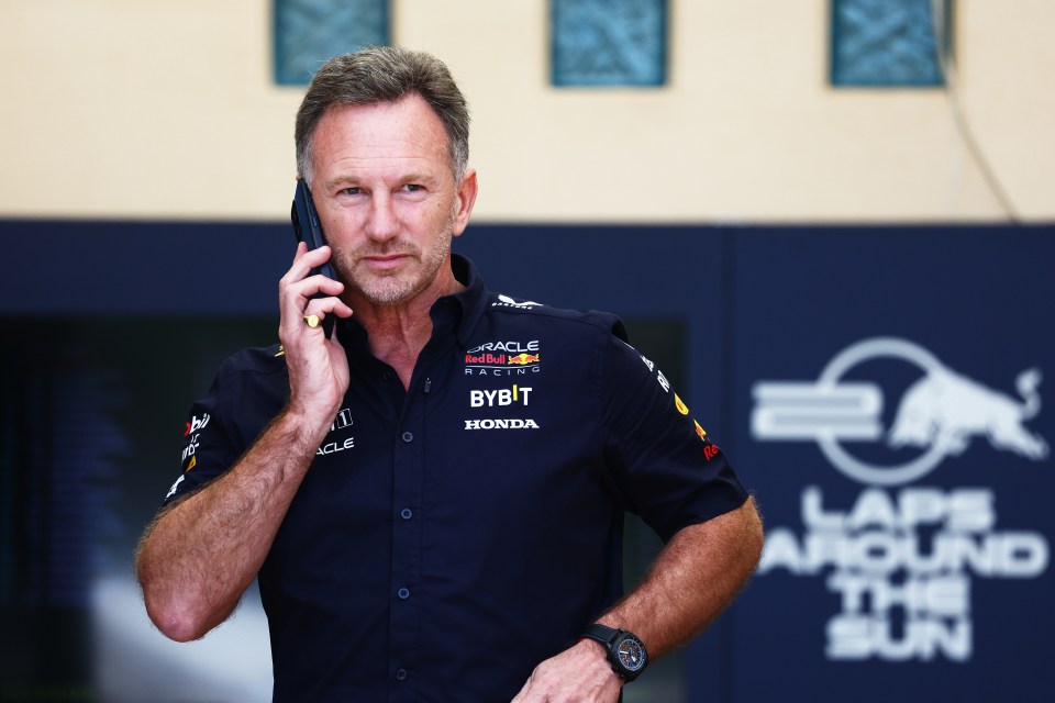 Christian Horner was cleared of any wrongdoing