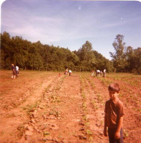 Children were also expected to work long hours in the fields