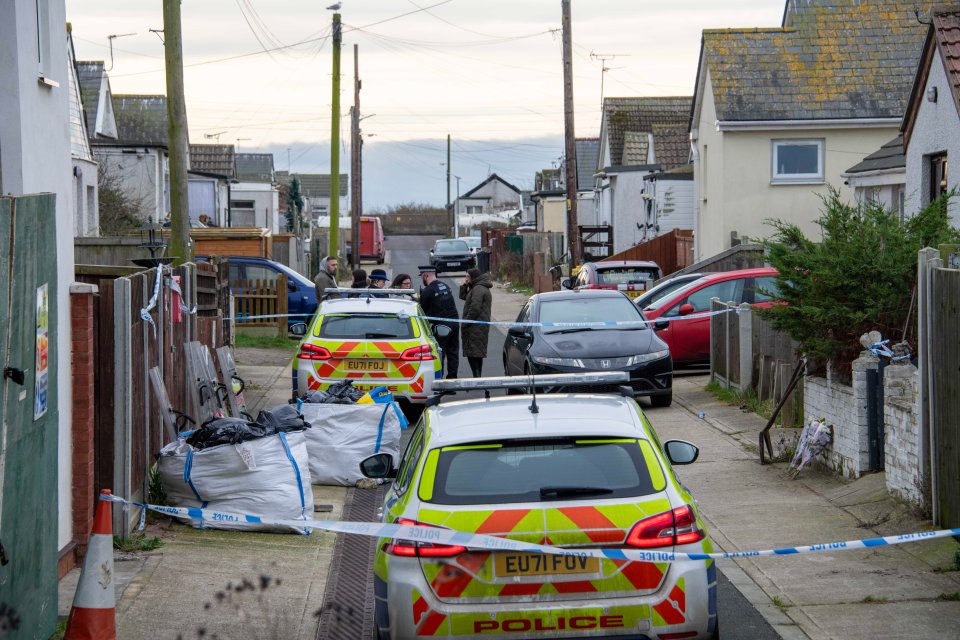 A 39-year-old man from Jaywick was arrested on suspicion of dangerous dogs offences