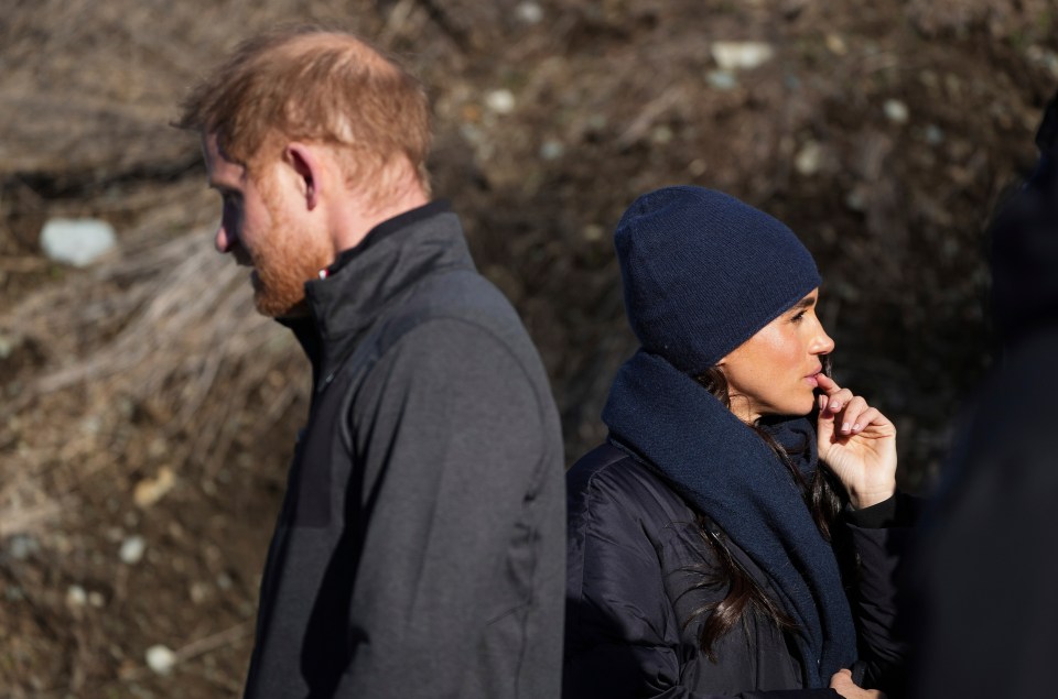 Meghan and Harry are said to be focusing on individual projects