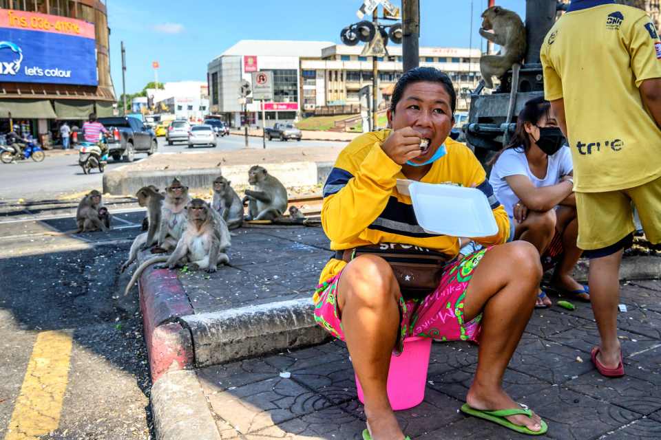 People sit by longtail macaques in Lopburi in 2020, before the animals became aggressive