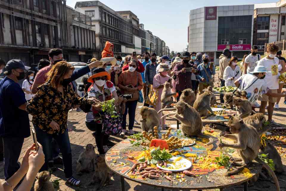 Tourists gather and take pictures as macaque monkeys eat food left on tables outside the Phra Prang Sam Yod temple