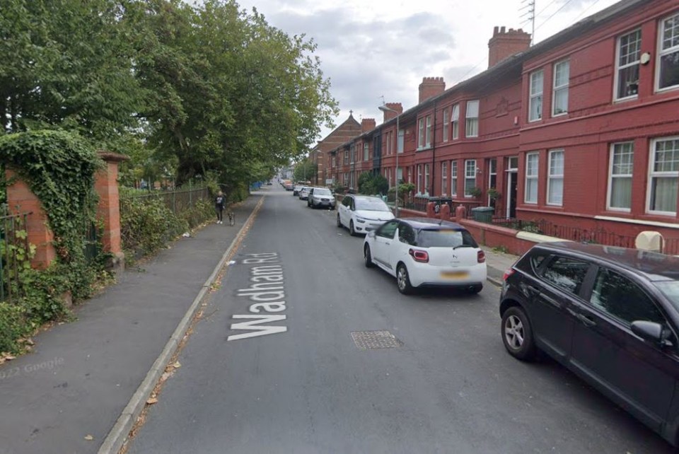 A boy has been mauled in Bootle