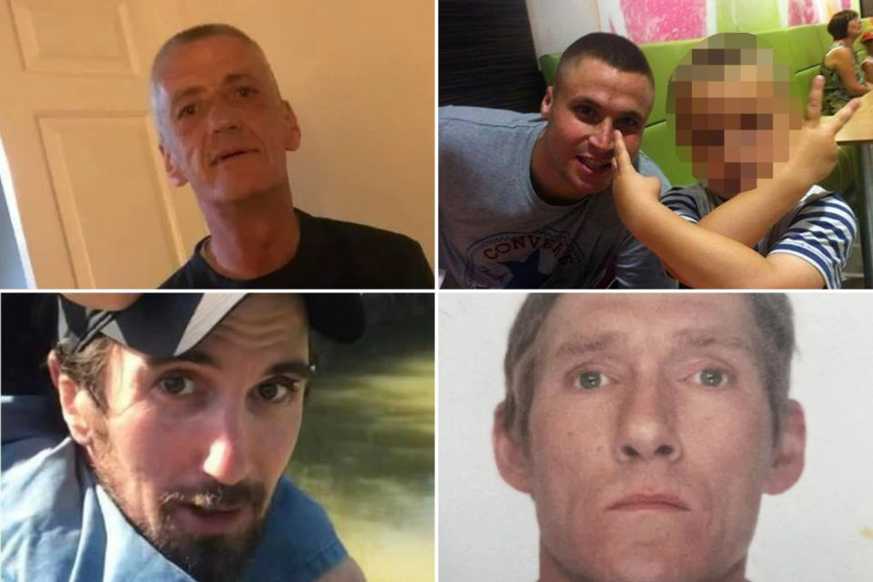 Ian Langley, 54, Jonathan Hogg, 37, Ian Symes, 34, and Keven Jones, 62, were also killed by the beasts