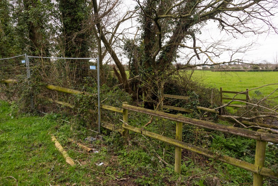 Mark put up fencing in order to block hikers and dog walkers from gaining access