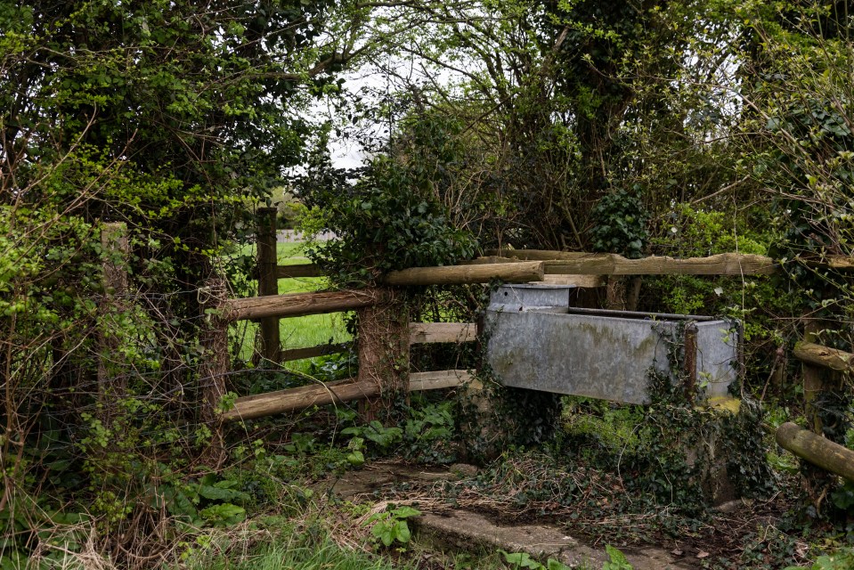 Mark blocked a wooden stile on a public footpath to try to top dogs jumping in his pool and pooing in his garden