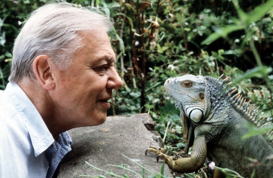 Sir David Attenborough in 2000 on Living With Dinosaurs