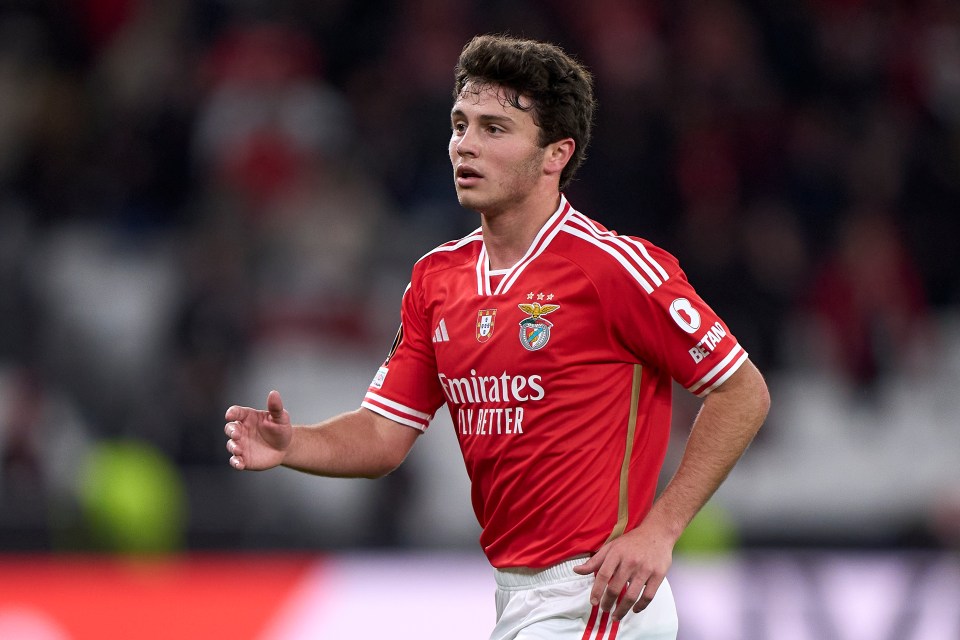 The Red Devils are reportedly leading the race for Benfica's star midfielder