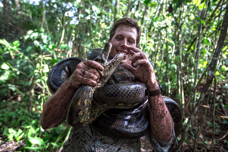 Professor Freek Vonk, pictured with Ana Julia, was left devastated by the snake's death