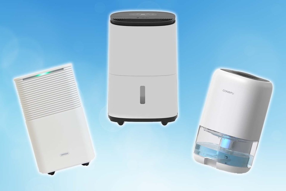 Black Friday is a great chance to pick up a dehumidifier for a fraction of the cost