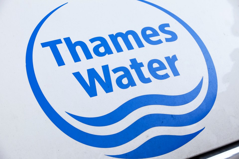 Taxpayers could be left to pay for Thames Water after investors refused to stump up a £500million lifeline for the water company