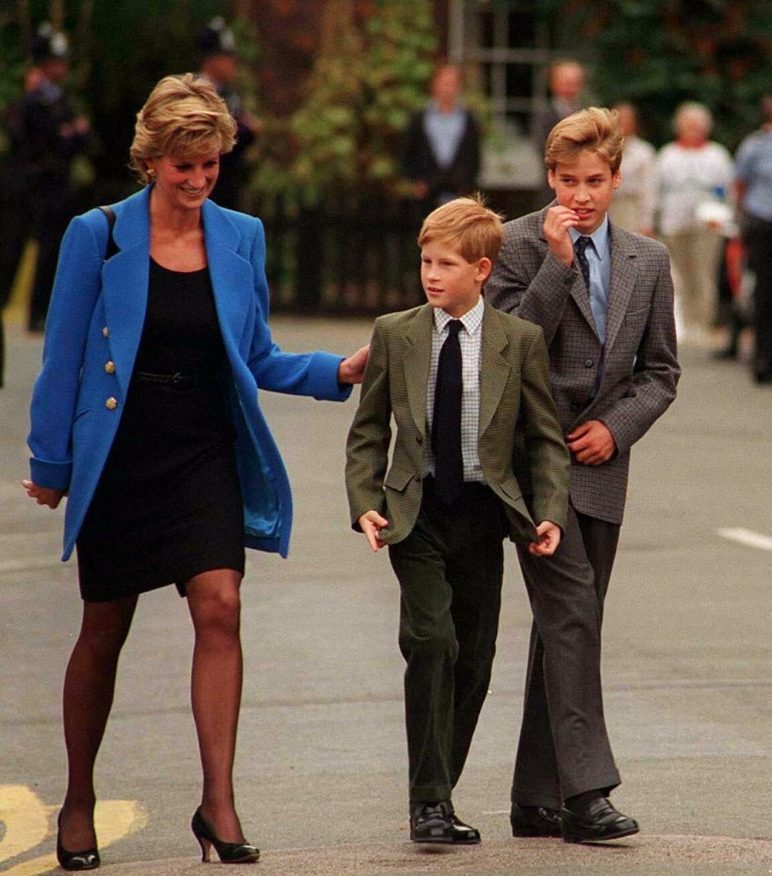 Diana "would've worked with her ex-husband the King to find a way to best resolve this issue" between her sons.