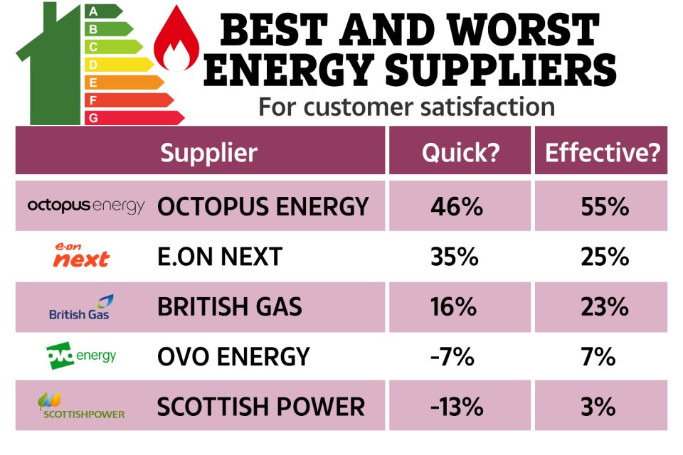 Energy firms have been ranked from best to worst, with Octopus Energy coming in first