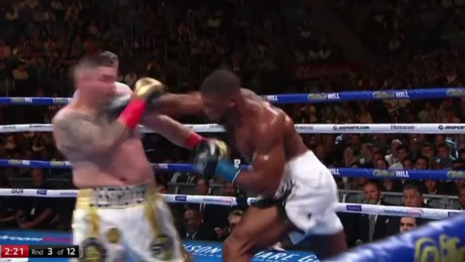 The same right hand was absorbed by Andy Ruiz Jr