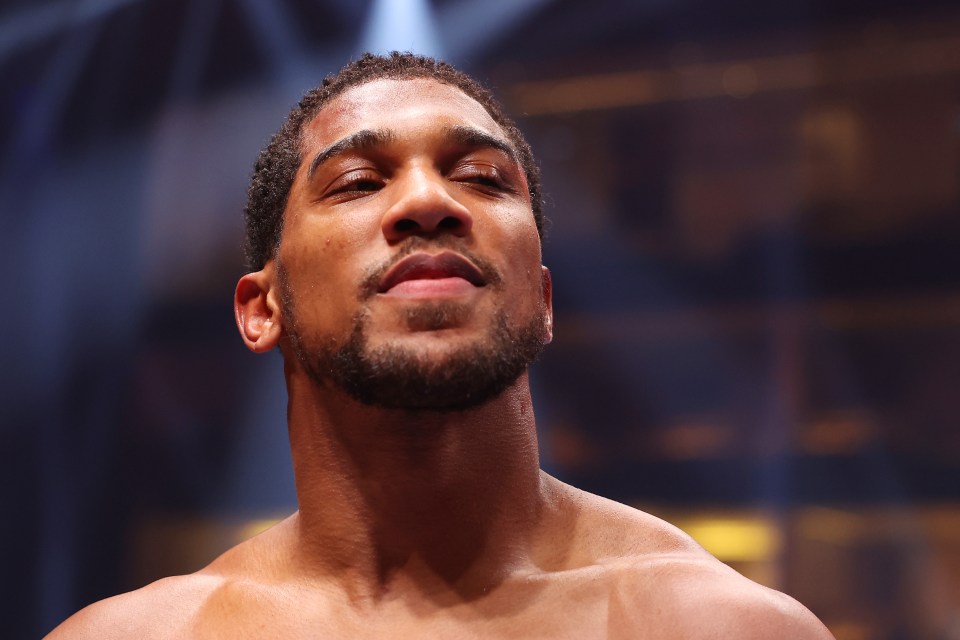 Anthony Joshua and Tyson Fury are being lined up for a two-fight series