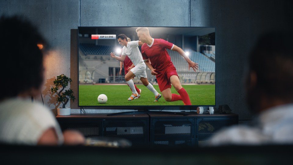 An urgent warning has been issued for football fans using 'dodgy' Amazon firesticks to get free access to Sky Sports