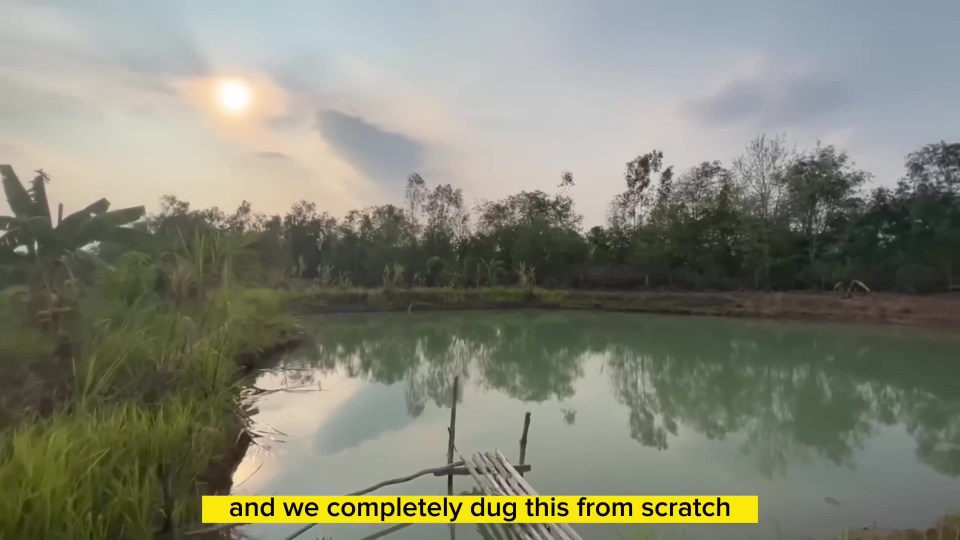 The couple’s home surrounded by trees and a river