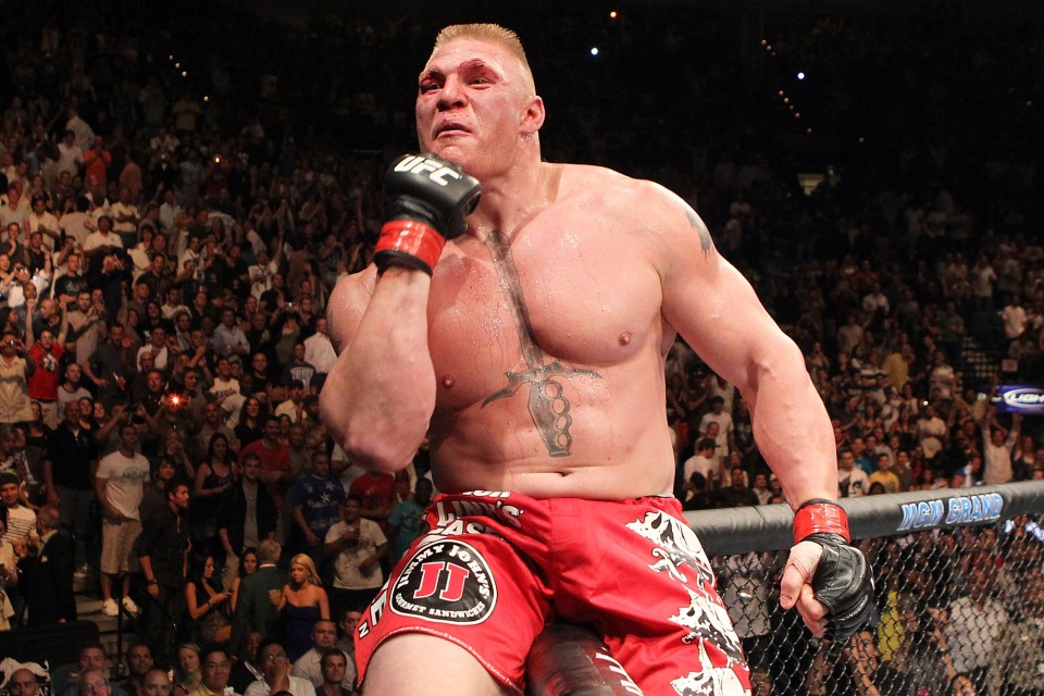 Former heavyweight champion Brock Lesnar was also tipped to make a shock comeback