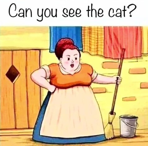 Can you see the cat in this tricky optical illusion?