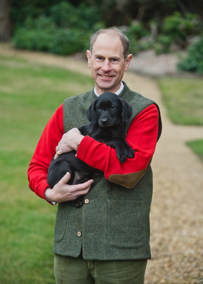 This image was also shared of Edward holding a puppy