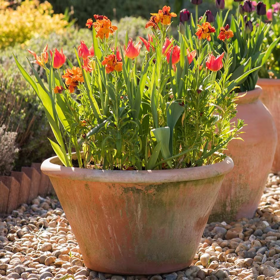 Pots just need a bit of love and care sometimes to keep them in good condition